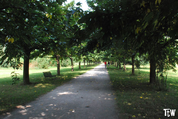 da merate a parco di monza in bicicletta