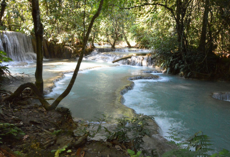 Cascate Kuang Si, Luang Prabang - Tasting the World